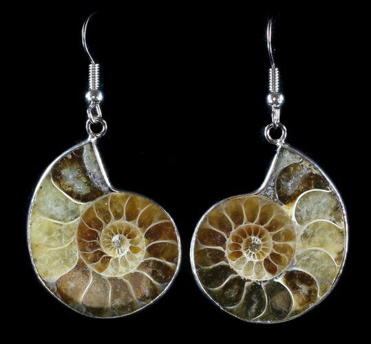 Fossil Ammonite Earrings - Million Years Old #35835